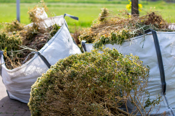 Trusted Elyria, OH Junk Removal Experts