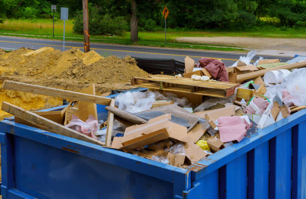 Best Yard Cleanup Services  in Elyria, OH